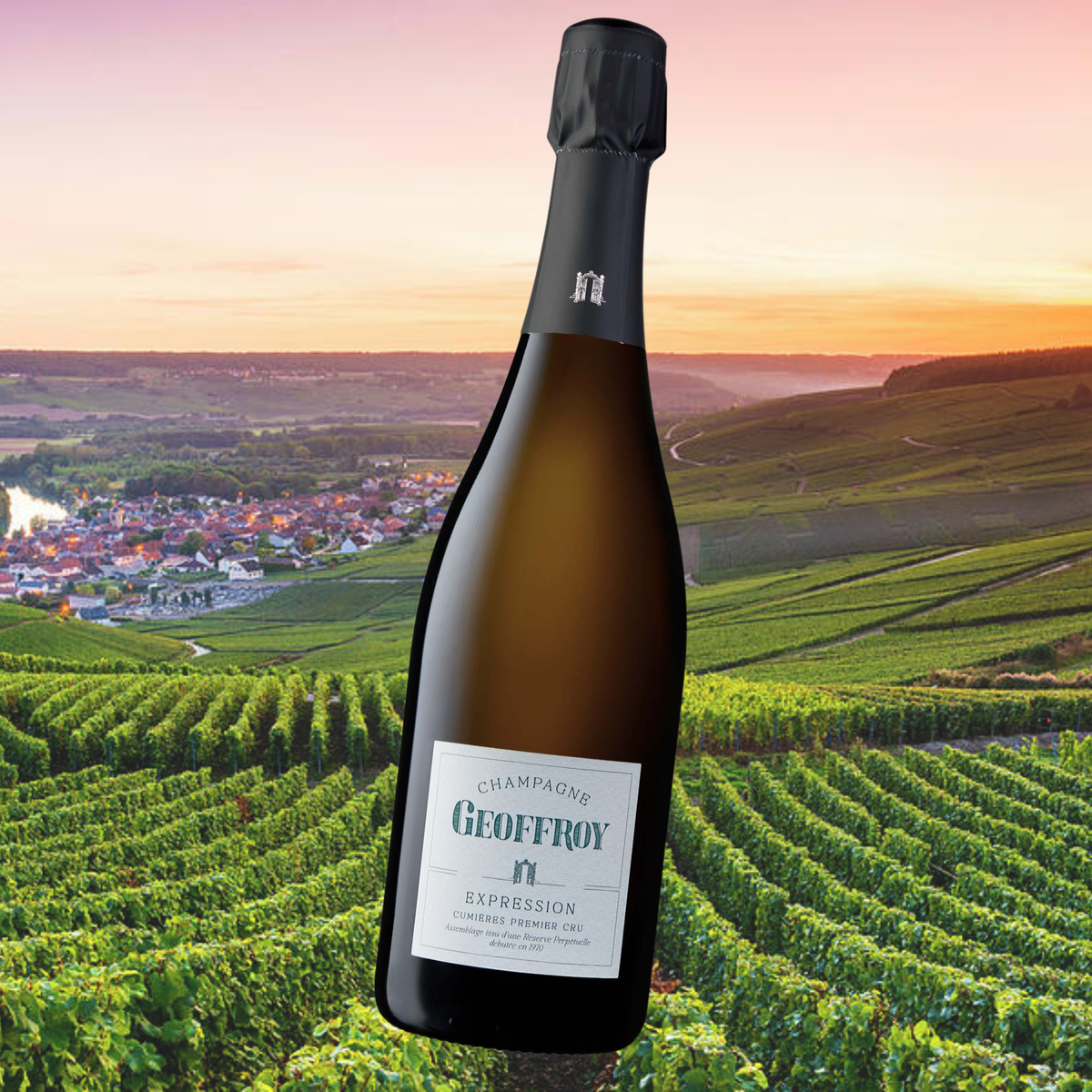 Taste Testing The Champagne Geoffroy Expression Brut Premier Cru
