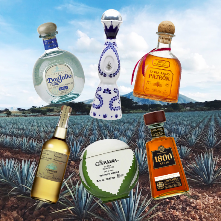 Tequila 101 Understanding the Types of Tequila (And How to Choose The