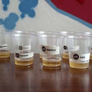 The 12 (Most Common) Faults In Beer: We Dive Into The Science Of What Makes Beer Go Wrong