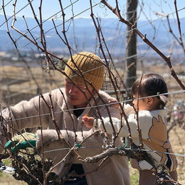 Inside Domaine Nakajima: How Yutaka Nakajima's One-Man Show Built A Critically Acclaimed Cult Winery That Brought French-Style Natural Winemaking To Japan