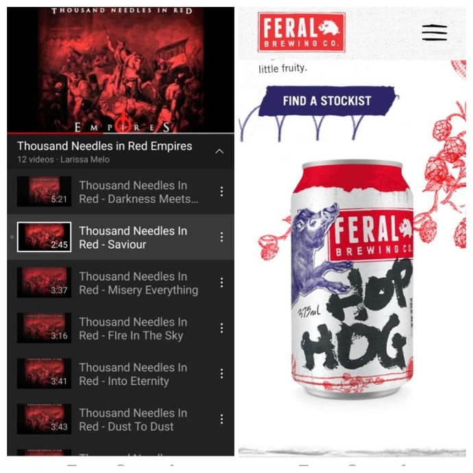 Feral Brewing American Pale Ale Style x The Butterfly Effect - Thousand Needles In Red