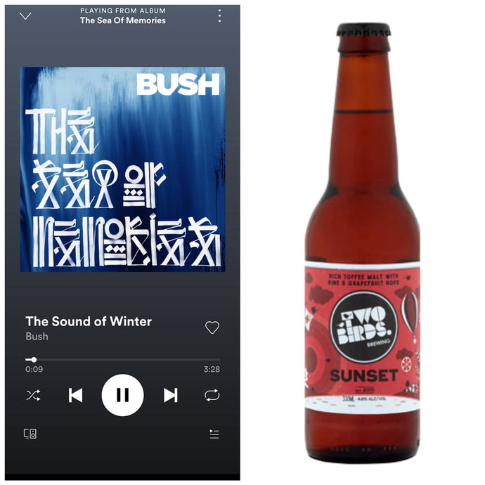 Two Birds Brewing Sunset Ale x Bush The Sea of Memories - The Sound of Winter