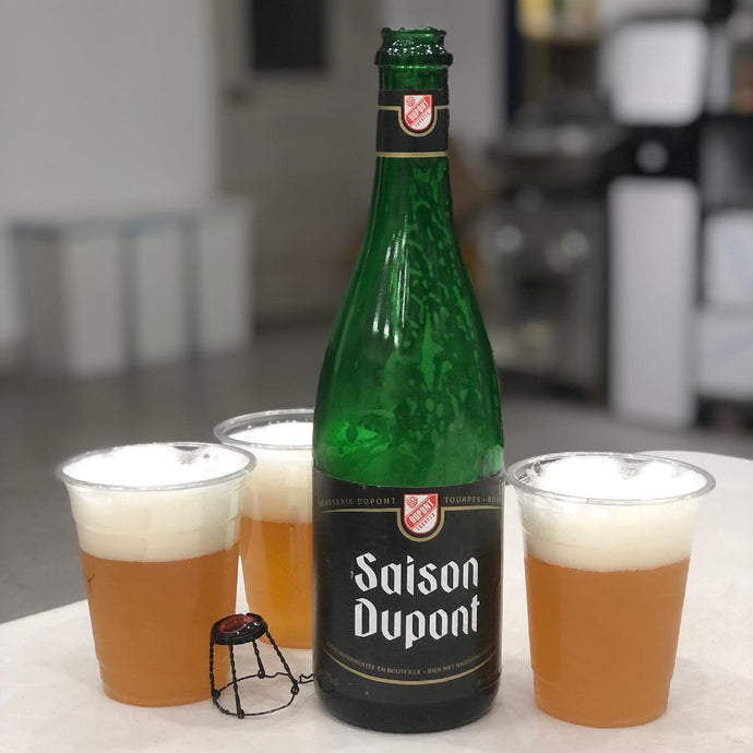Saison Dupont, Farmhouse Ale, Brasserie Dupont