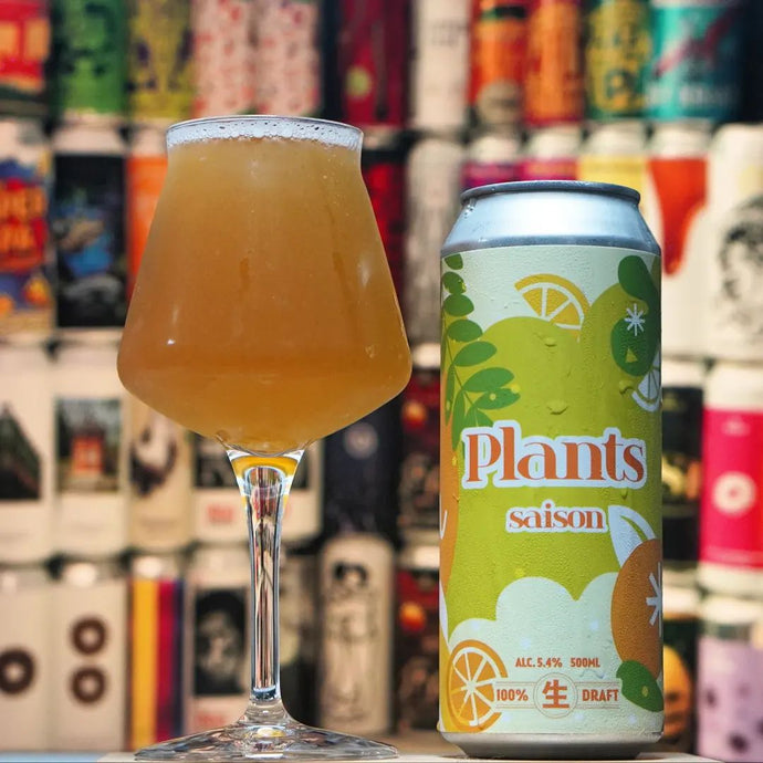 Plants Saison, Farmhouse Ale, Playground Brewery
