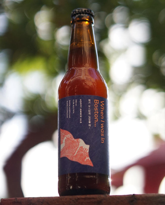 When I Was in Boston… Hoppy Amber Ale by Ggeek Beer