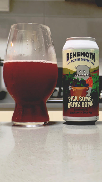 Pick Some, Drink Some Blueberry and Blackberry Sour Ale by Behemoth Brewing