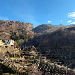 Carema: The Heroic Winemakers of Italy's Tiniest Appellation