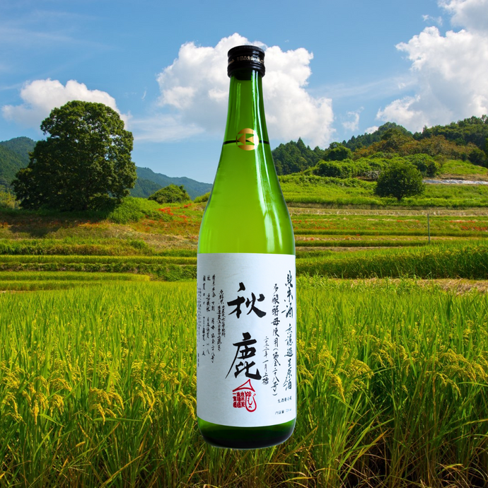Akishika Shuzo, Tasanshu Junmai Sake (秋鹿酒造 高酸度純米酒), 15% ABV
