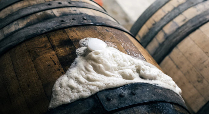 Beer For Noobs: What are Yeasts?