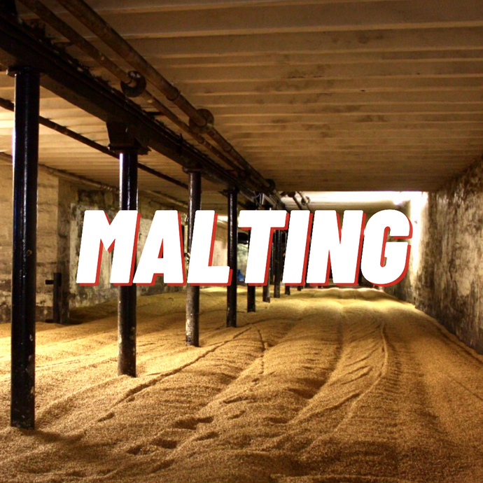 Malting