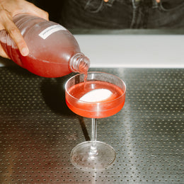 Jellyfish Martini & Seaweed Sours: FURA Unveils New Cocktail Menu, Journal of Future Foods