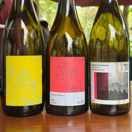 Xiaopu & Domaine de la Gyalthang 小圃/建塘: We Taste Test 5 Wines From China's Leading Cult Natural Winemaker