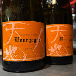 Taste Testing Koji Nakada's Maison Lou Dumont Bourgogne Red & White