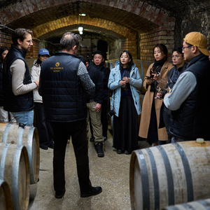 Between Roots and Reinvention: Hungary’s Wine Regions in Transition