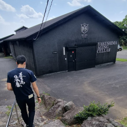 Let's Go On A Tour Of Mars Whisky's Fabled Yakushima Ageing Cellar