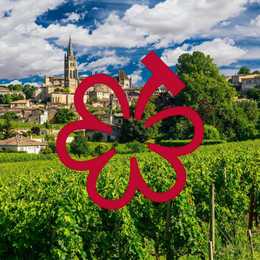 The Full List: MICHELIN Guide Debuts Bordeaux Selection For Michelin Grape Scoring 84 Estates