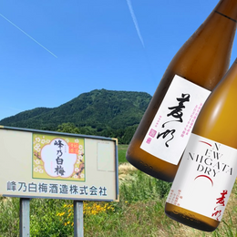 Minenohakubai Shuzo (峰乃白梅酒造): A Contemporary Taste Rooted in Tradition Heritage and Terroir; Taste Testing The Ryoko New Niigata Dry (菱湖純米ドライ) & Ryoko Local Gohyakumangoku Junmai Daiginjo (菱湖 五百万石)