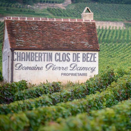 Louis Roederer In Talks to Acquire Burgundy’s Renowned Domaine Pierre Damoy
