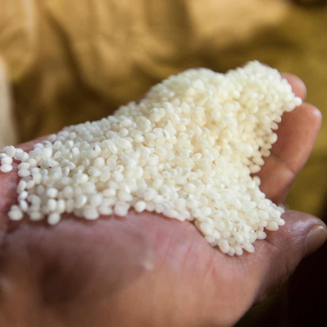 The Most Important Types of Sake Rice You Should Know – 88 Bamboo