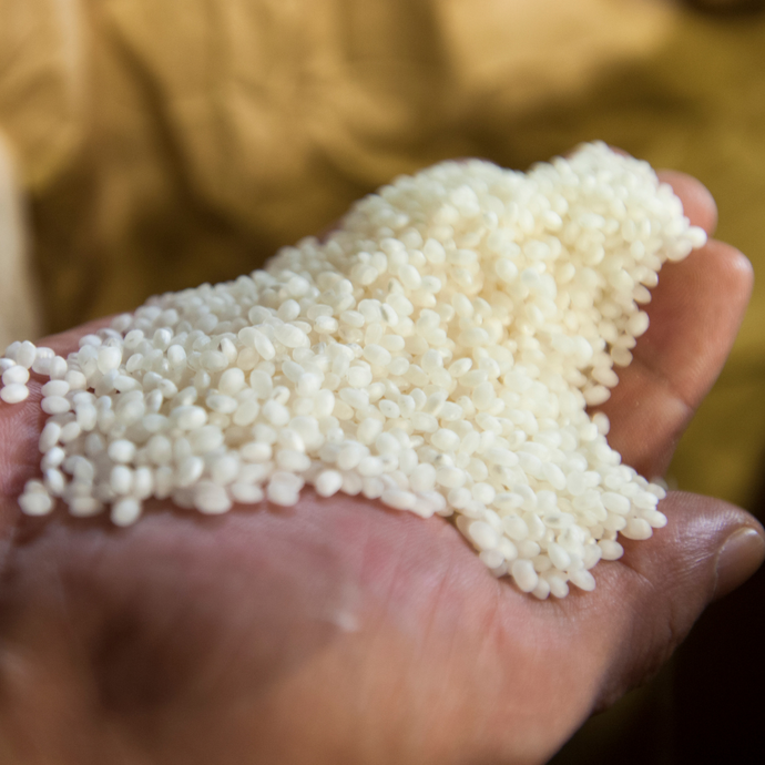 The Most Important Types of Sake Rice You Should Know