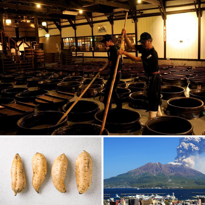 Keeping up with the Kagoshimas Part 1: How Distillation and Sweet Potato ended up in Kagoshima?