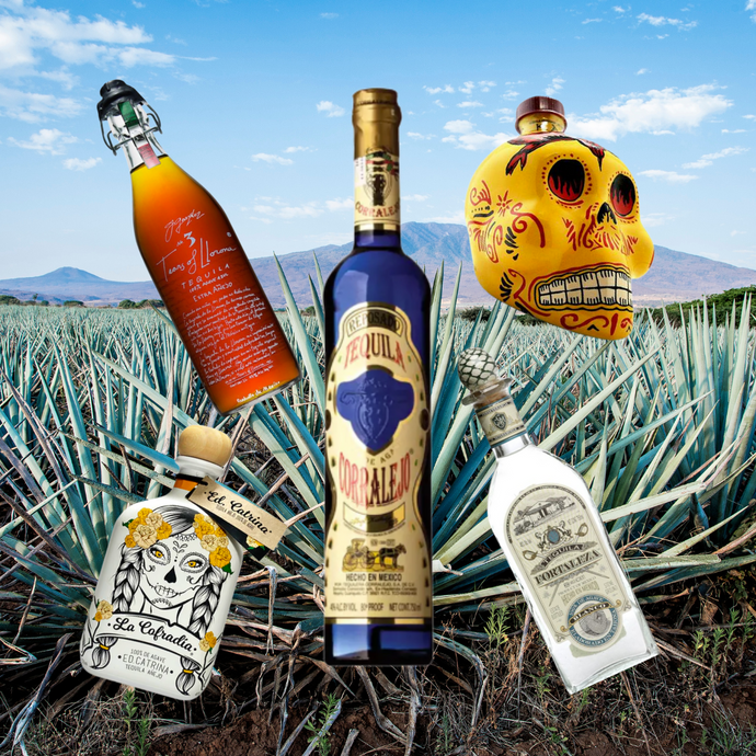 Tequila 101: Mixto Tequila, 100% Agave Tequila, and Why This Distinction Matters!
