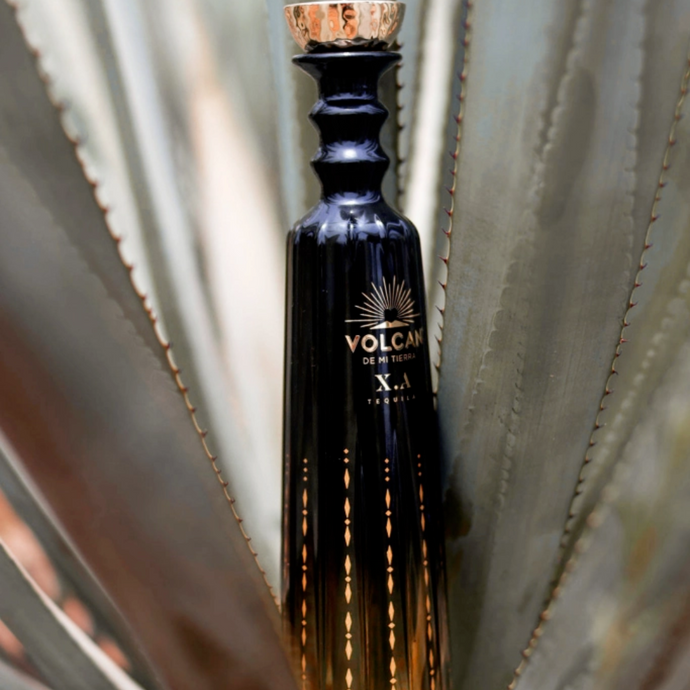 LVMH's New High End Tequila Volcan X.A Makes Its Debut
