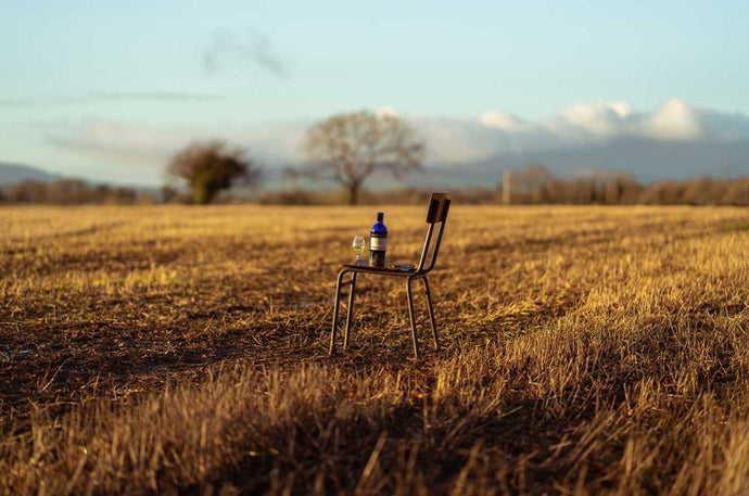 The environment where a whisky's ingredients were harvested does impact the taste of whisky, recent research shows.