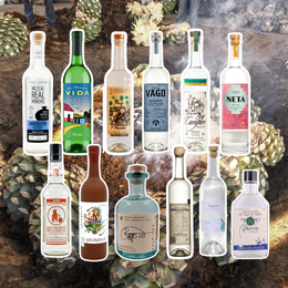 Here Are 12 Go-To Mezcals You Must Have, According To Bartenders and Mezcal Fans