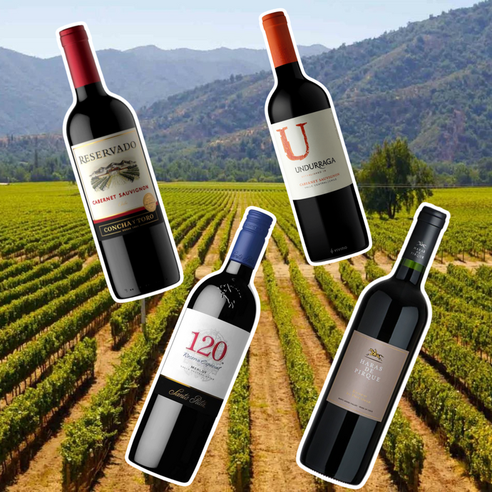 Into Chile’s Maipo Valley: An Introduction to the "Bourdeaux of South America"!
