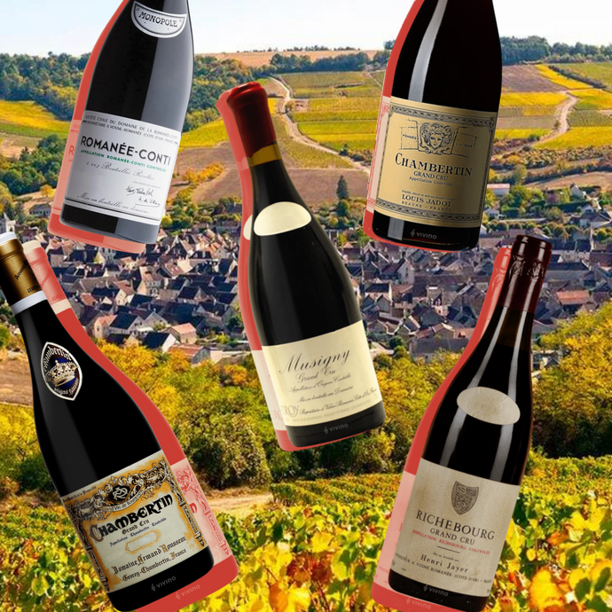 Big, Bad Burgundy: France’s Most Revered Yet Mysterious Wines, Explained!