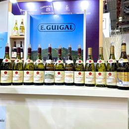 Tasting E. Guigal’s Top Reds & Whites: Côte-Rôtie, Hermitage, Chateau d’Ampuis, Vignes de l’Hospice, La Doriane Condrieu & More