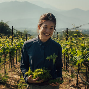 Cultivating Taiwan's Impossible Wines: When Life Gives Rain, Heat And Typhoons, Weightstone Turns Local Varieties To Wine Miracles