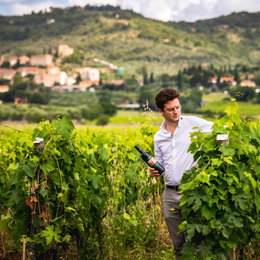 Why Tua Rita’s Grapevines Speak More Clearly Than Humans Ever Would: Giovanni Frascolla on the Past, Present & Future of Super Tuscan Wines